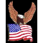 USA EAGLE OVER FLAG PIN
